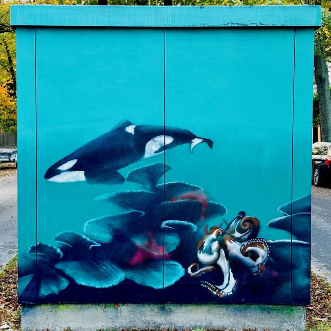 Straßenkunst auf einem Stromkasten zeigt vor einem blaugrünen Hintergrund Unterwasserlebewesen, darunter einen Oktopus und einen Orca.