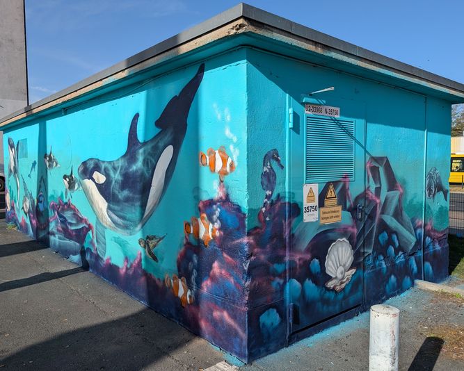 Ein lebendiges Wandgemälde, das Orcas und verschiedene Meerestiere zeigt, die vor einem blauen Hintergrund an einer Straßenwand schwimmen.