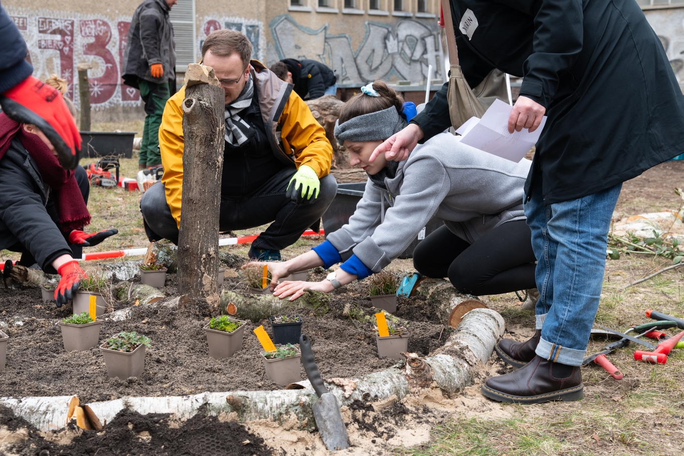Mehrere Menschen knien vor einem Baumstumpf. Um den Baumstumpf legen sie ein Beet an. Dabei erhalten sie Anweisungen von er Dame mit einem Plan in der Hand. Die Gesichter sind konzentriert.