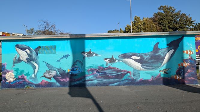 Ein lebendiges Wandgemälde, das Orcas und verschiedene Meerestiere zeigt, die vor einem blauen Hintergrund an einer Straßenwand schwimmen.